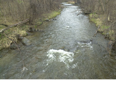 Nothjing iminent - but Conservation Halton advises that rain expected has the potential to flood the creeks.