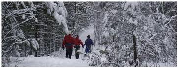 Mountsberg - winter trails