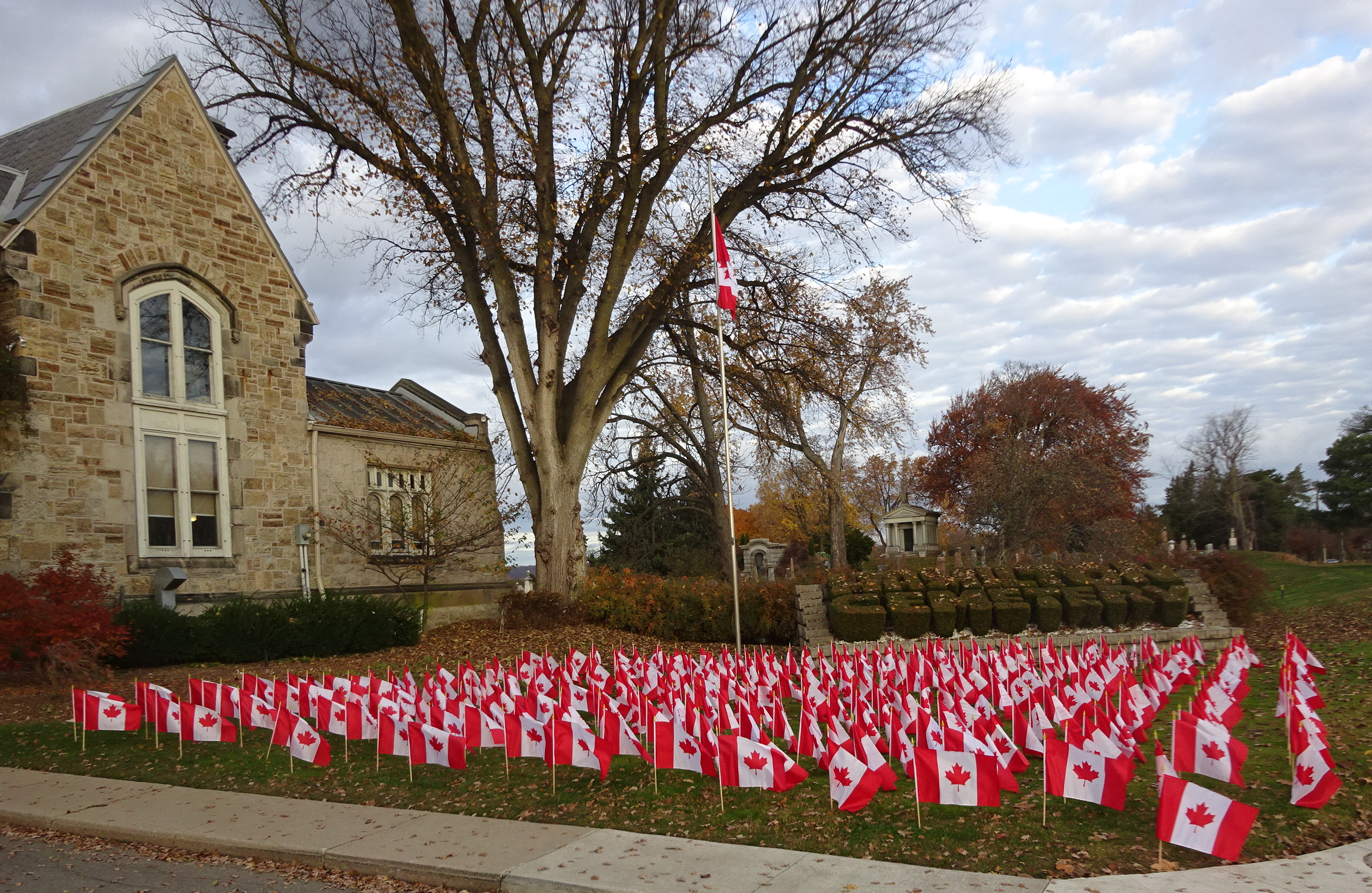 Flags at cemetery