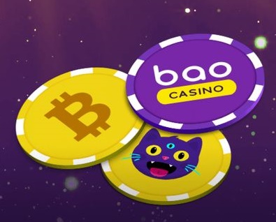 Bao casnino - paid
