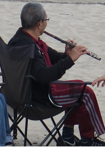 musician picolo