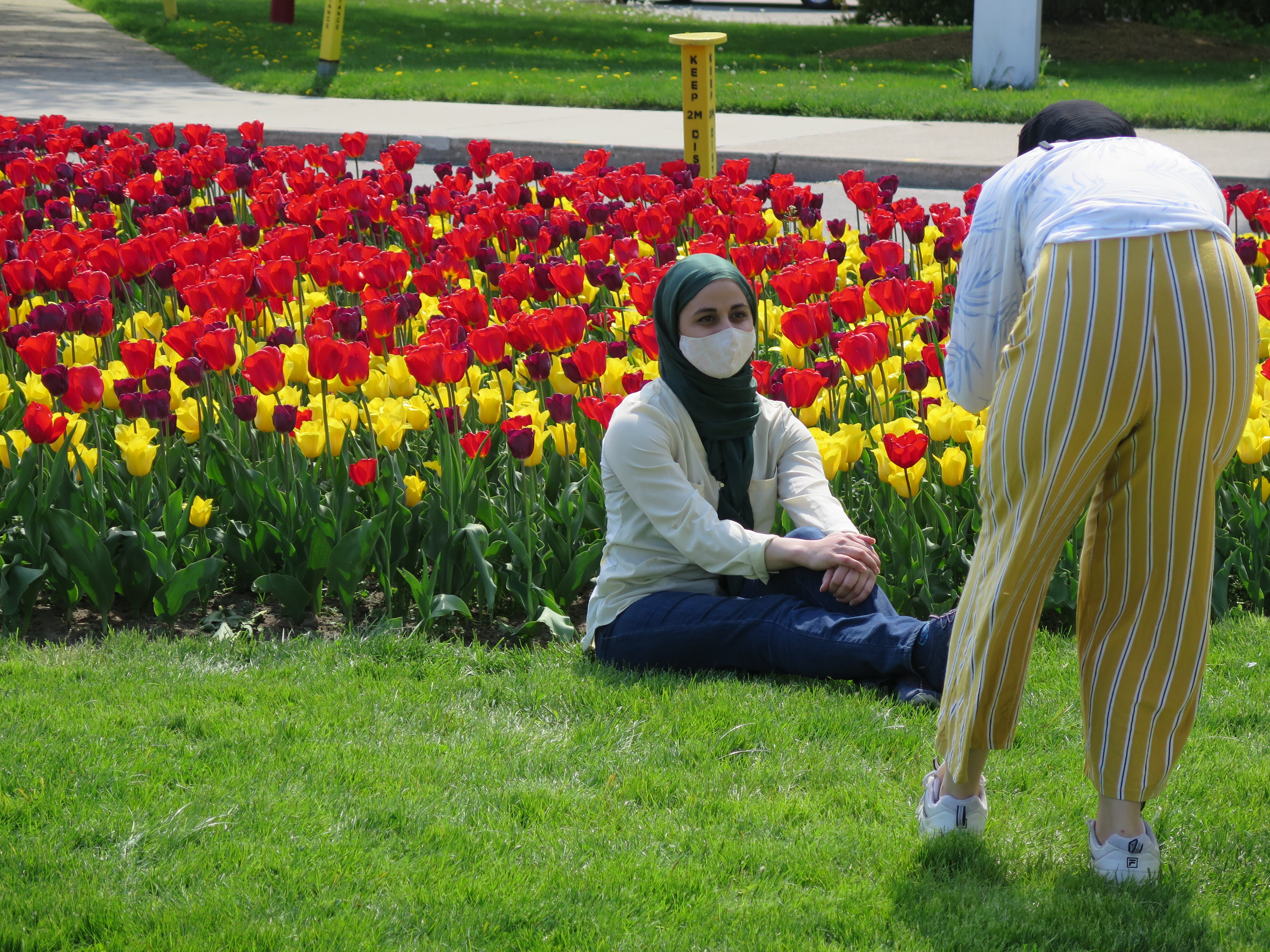 tulips + women