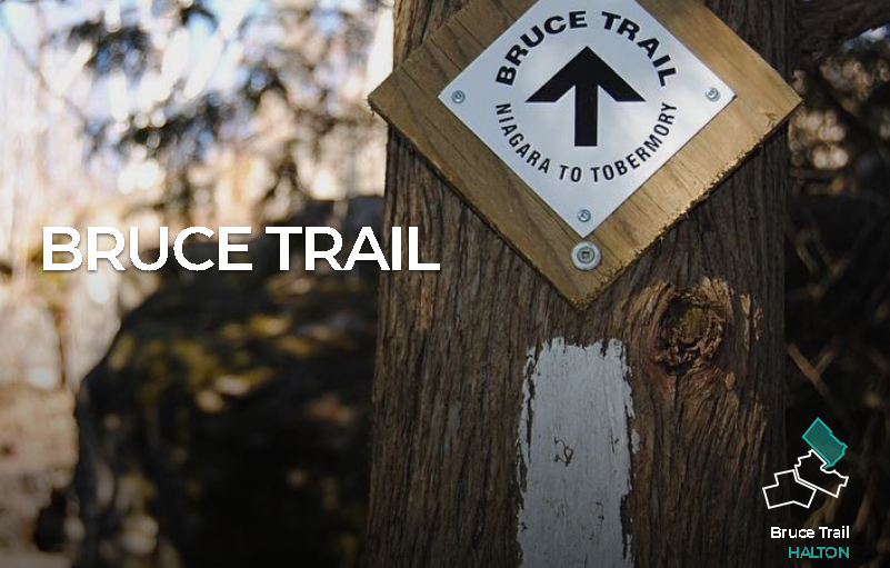 bruce trail sign