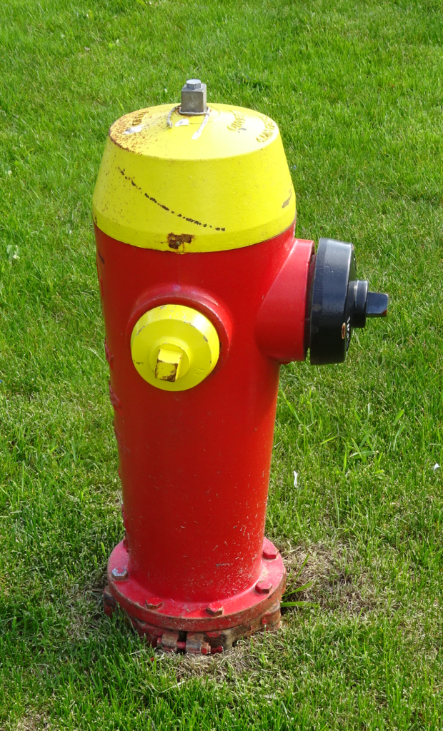 Reader wants to know why fire hydrants are different colours Fire chief tells us all