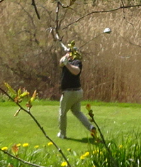 golfer swinging